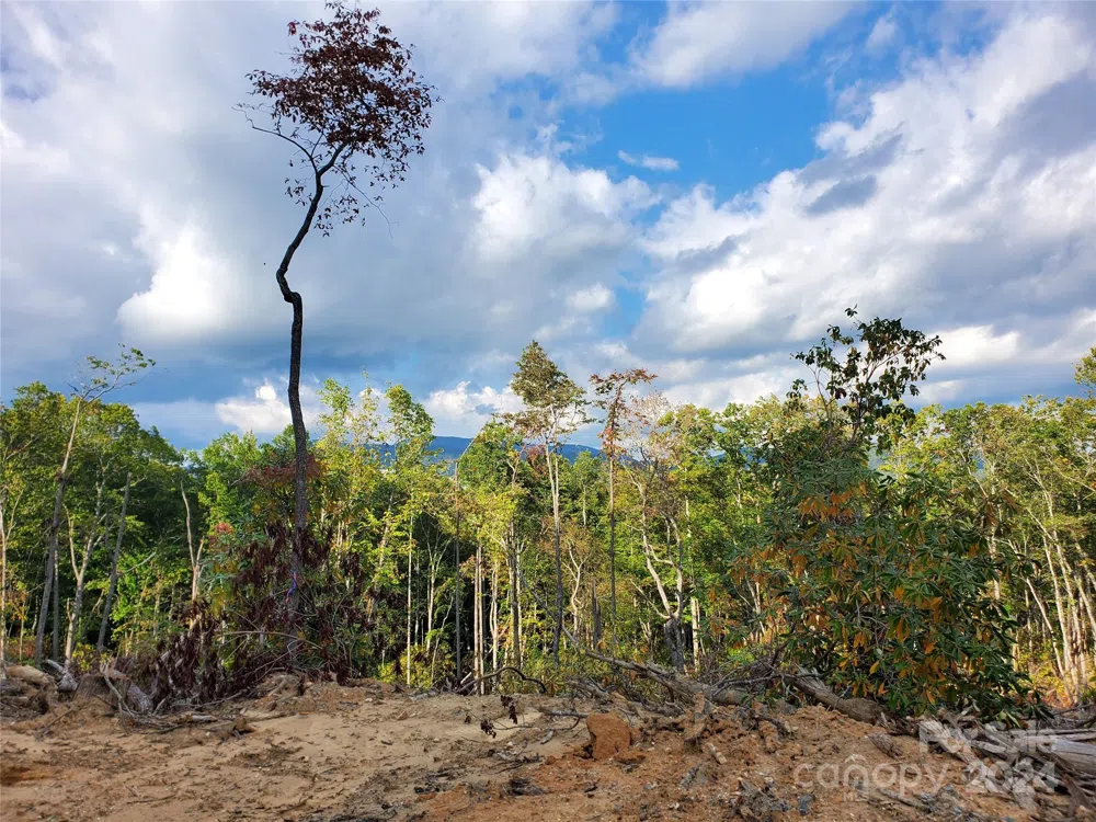 TBD Parkwood Hill Road Spruce Pine, NC 28777