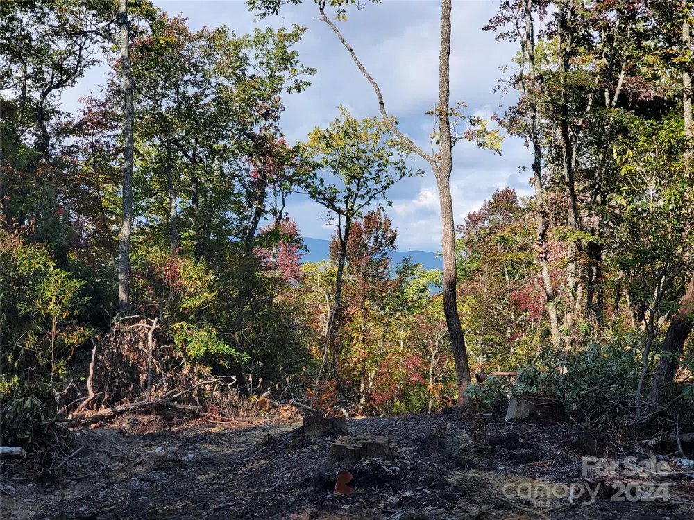 TBD Parkwood Hill Road Spruce Pine, NC 28777