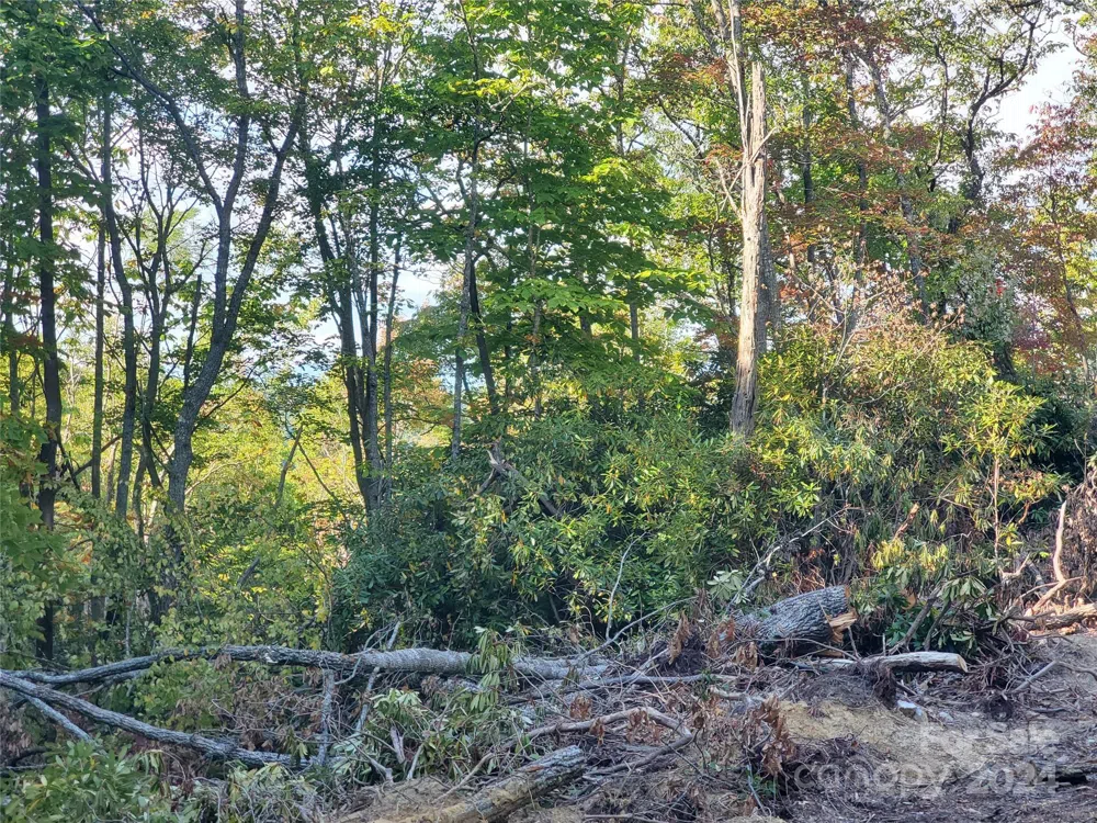 TBD Parkwood Hill Road Spruce Pine, NC 28777