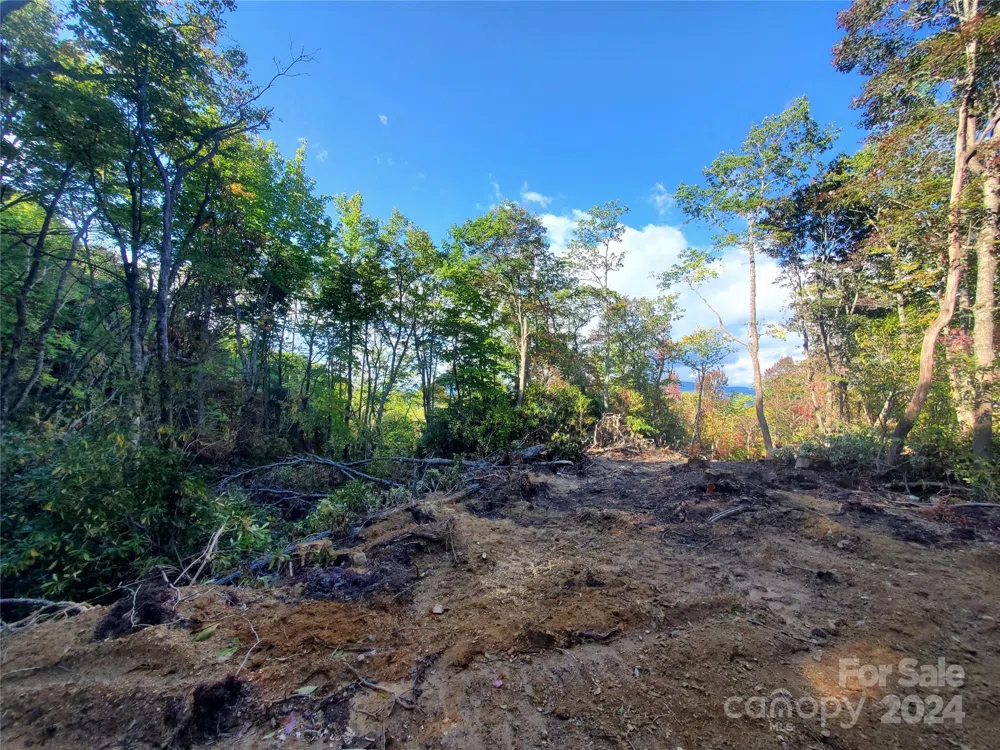 TBD Parkwood Hill Road Spruce Pine, NC 28777