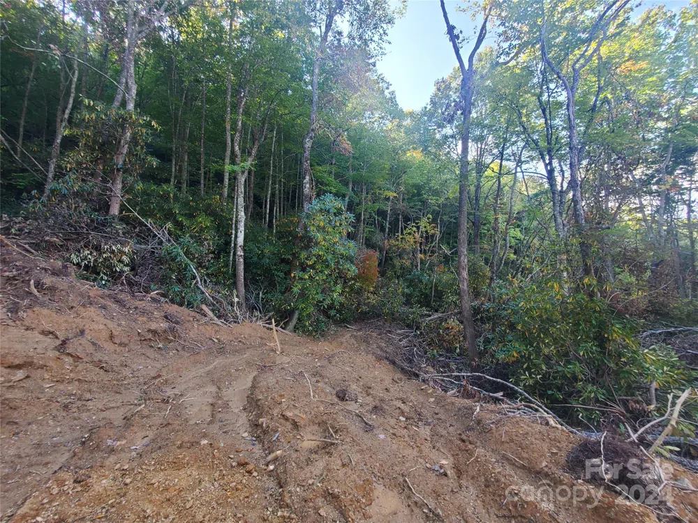 TBD Parkwood Hill Road Spruce Pine, NC 28777