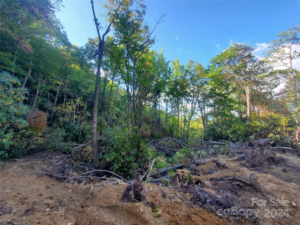 TBD Parkwood Hill Road Spruce Pine, NC 28777