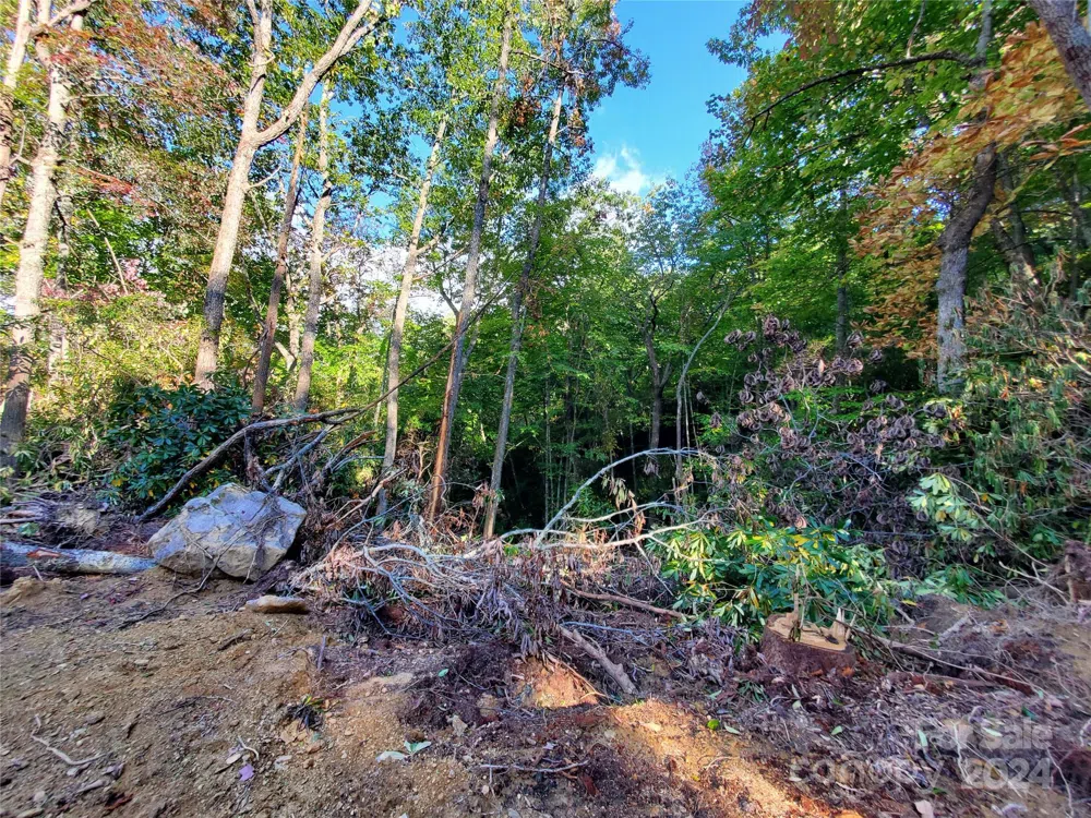 TBD Parkwood Hill Road Spruce Pine, NC 28777