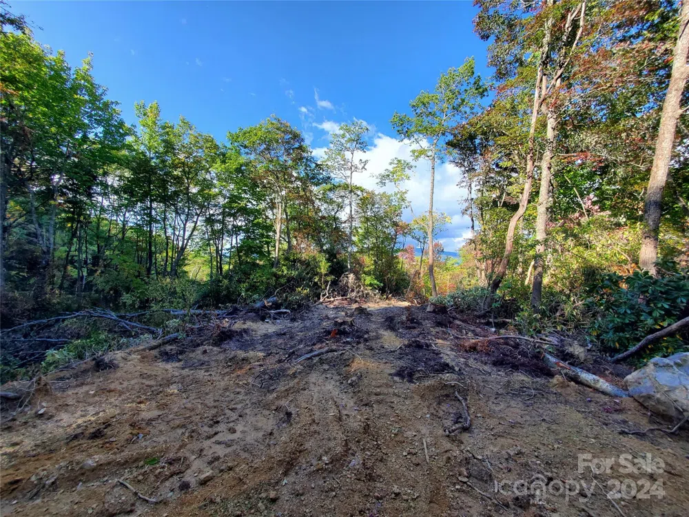 TBD Parkwood Hill Road Spruce Pine, NC 28777