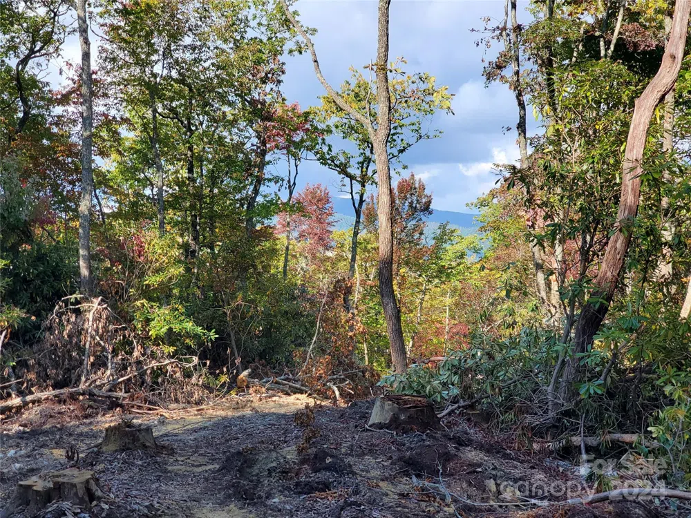 TBD Parkwood Hill Road Spruce Pine, NC 28777
