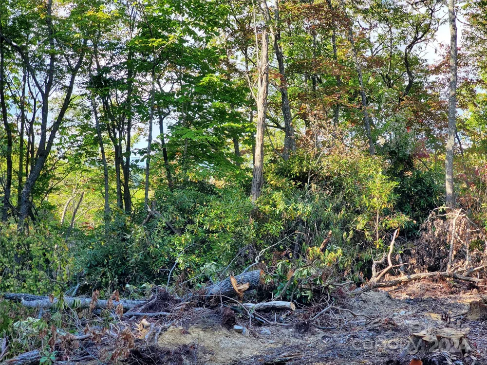 TBD Parkwood Hill Road Spruce Pine, NC 28777