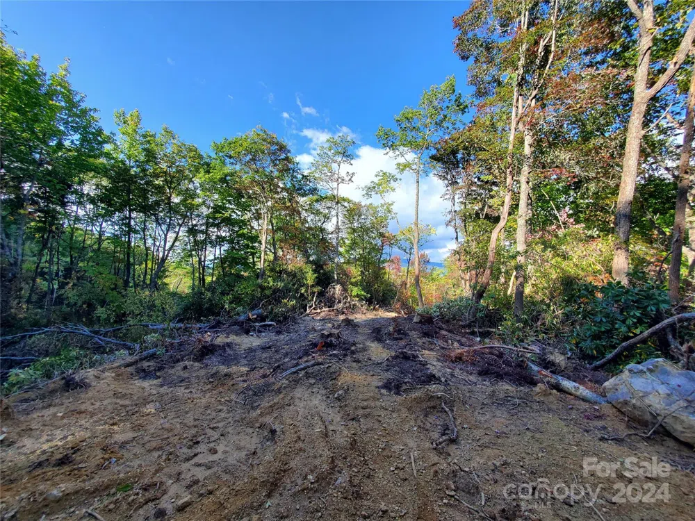 TBD Parkwood Hill Road Spruce Pine, NC 28777