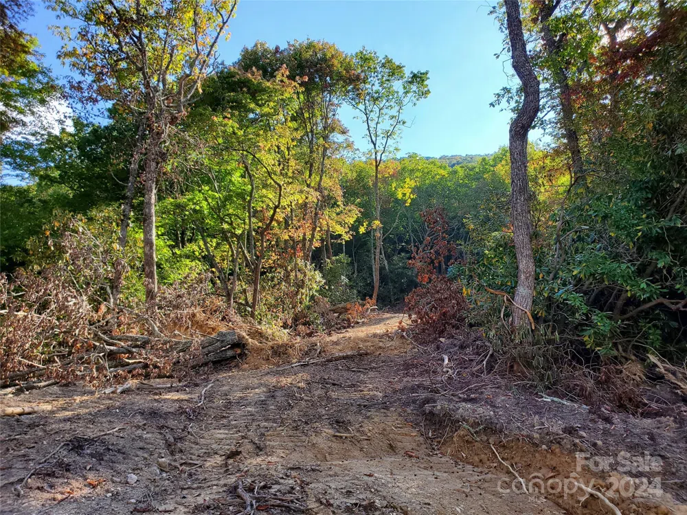 TBD Parkwood Hill Road Spruce Pine, NC 28777