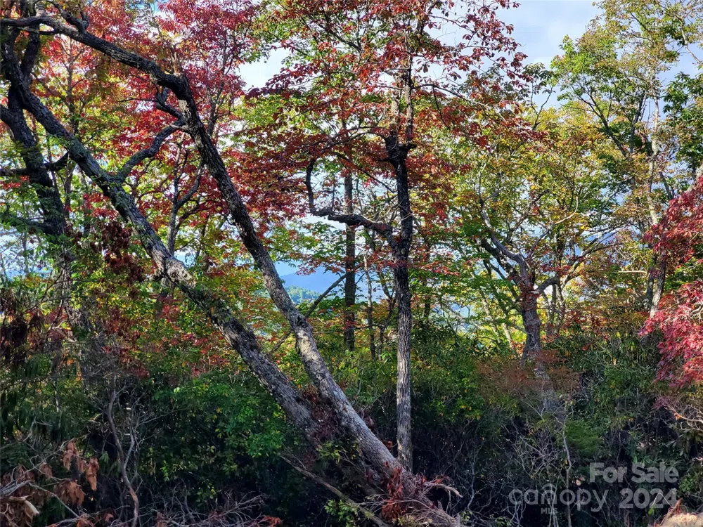 TBD Parkwood Hill Road Spruce Pine, NC 28777