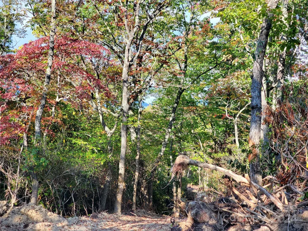 TBD Parkwood Hill Road Spruce Pine, NC 28777