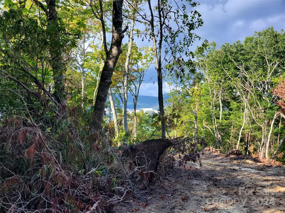 TBD Parkwood Hill Road Spruce Pine, NC 28777