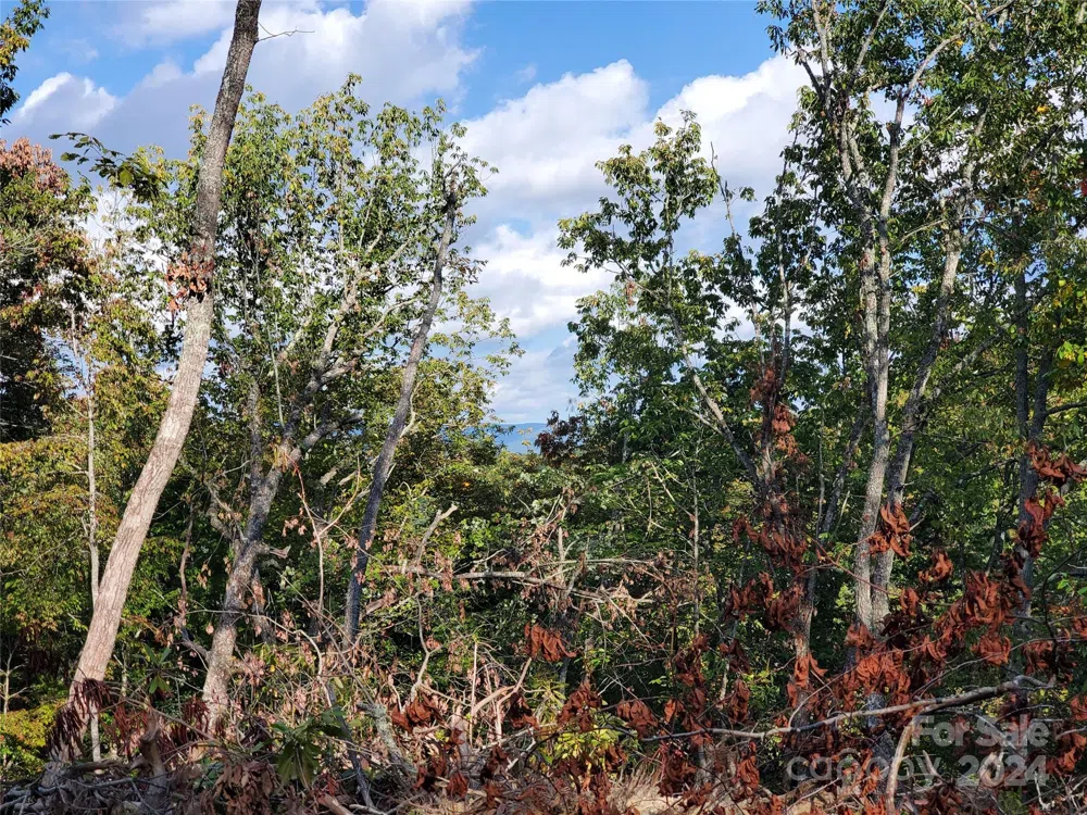 TBD Parkwood Hill Road Spruce Pine, NC 28777