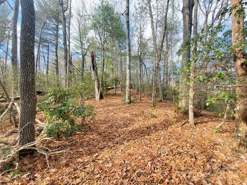 00 Elkins Road #20 Bakersville, NC 28705