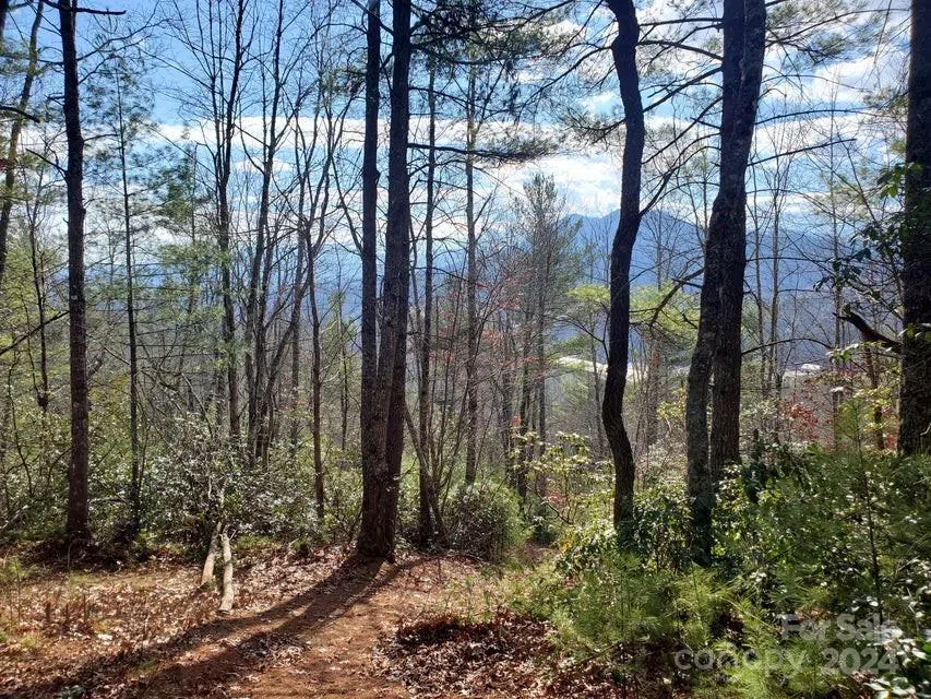 00 Elkins Road #20 Bakersville, NC 28705