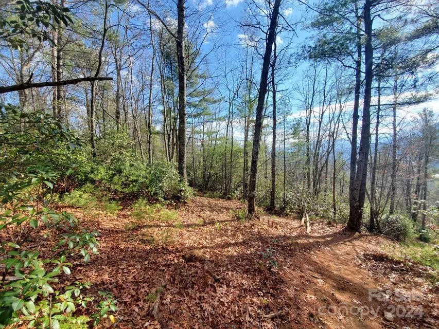 00 Elkins Road #20 Bakersville, NC 28705