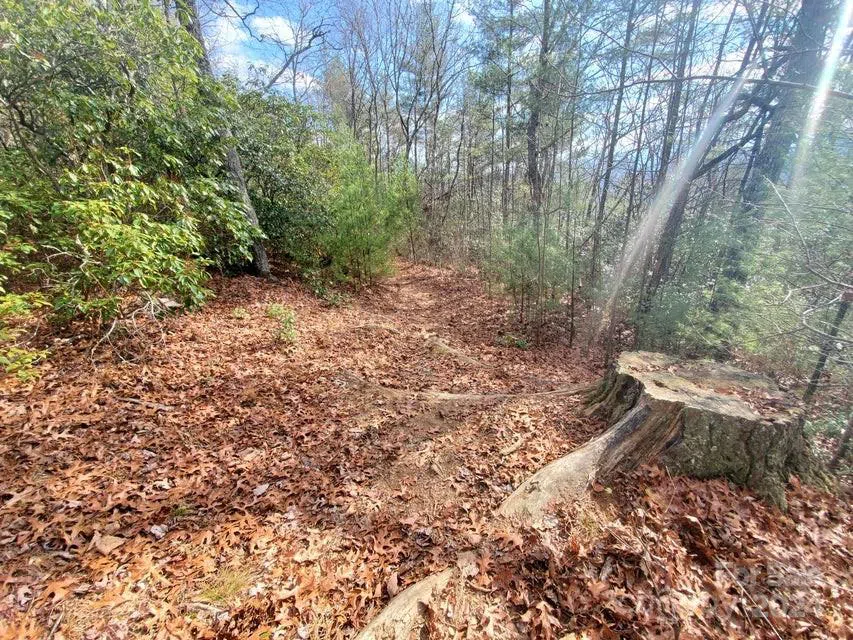 00 Elkins Road #20 Bakersville, NC 28705