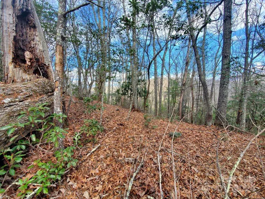 00 Elkins Road #20 Bakersville, NC 28705