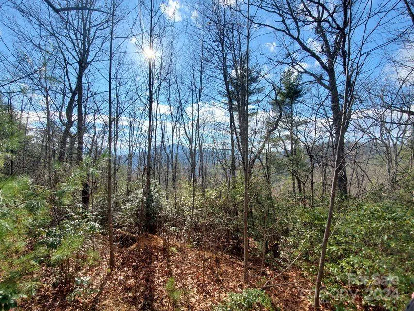 00 Elkins Road #20 Bakersville, NC 28705