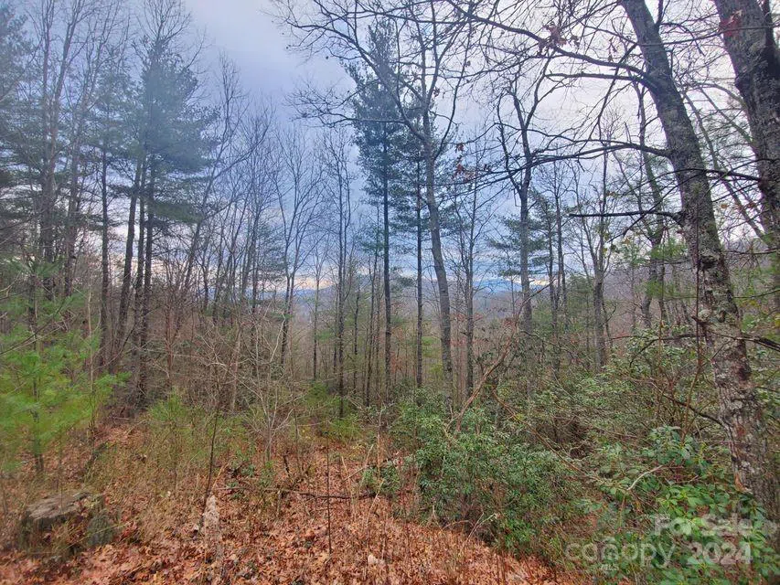 00 Elkins Road #20 Bakersville, NC 28705