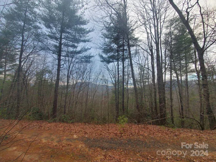 00 Elkins Road #20 Bakersville, NC 28705