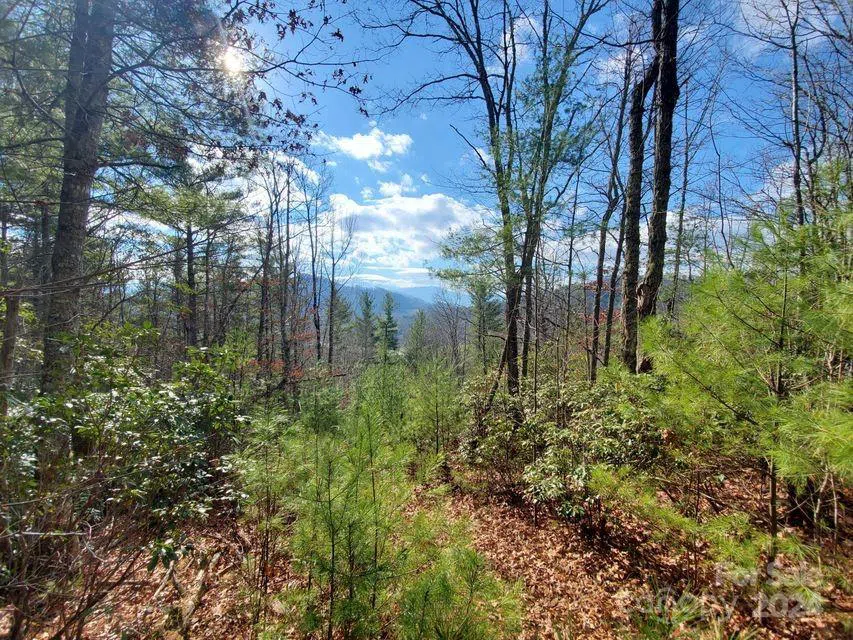 00 Elkins Road #20 Bakersville, NC 28705