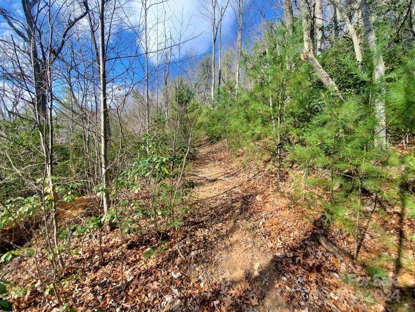 00 Elkins Road #20 Bakersville, NC 28705