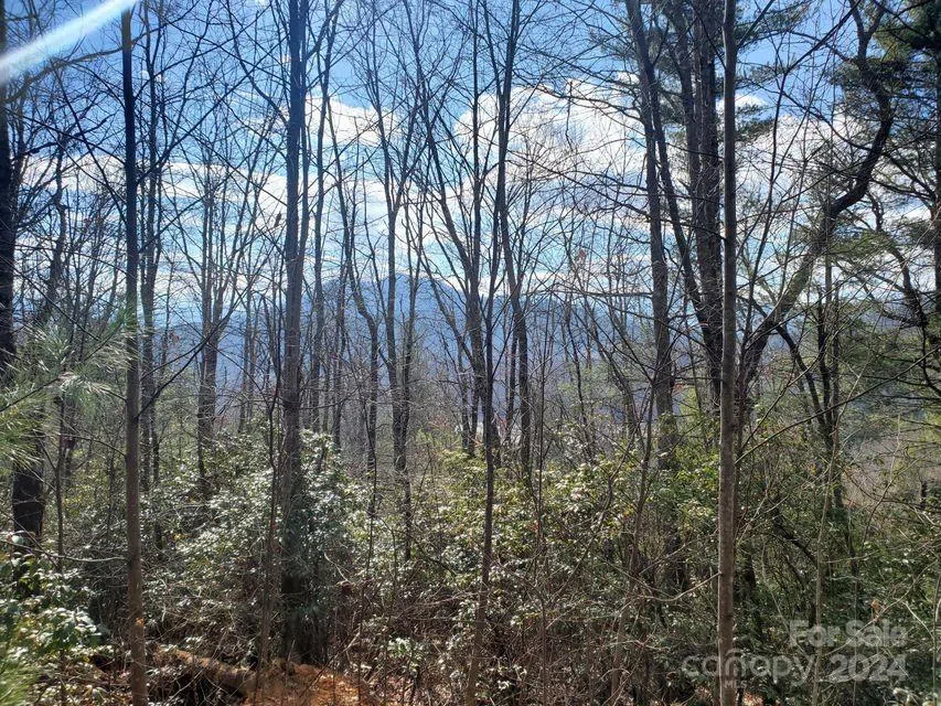 00 Elkins Road #20 Bakersville, NC 28705