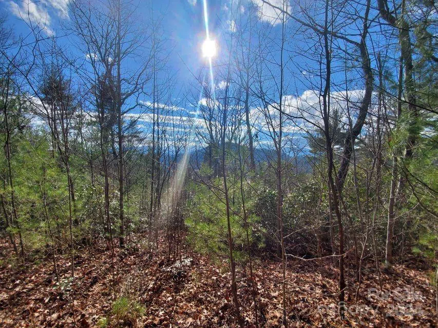 00 Elkins Road #20 Bakersville, NC 28705