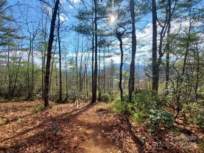00 Elkins Road #20 Bakersville, NC 28705