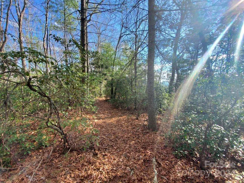 00 Elkins Road #20 Bakersville, NC 28705