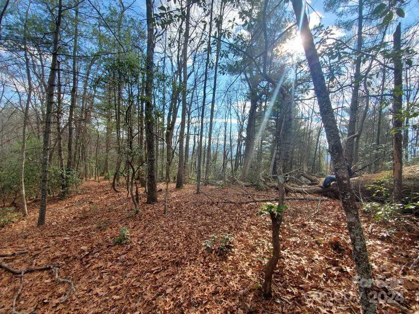 00 Elkins Road #20 Bakersville, NC 28705