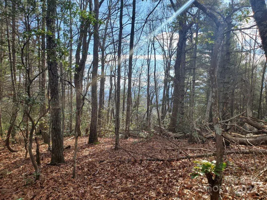 00 Elkins Road #20 Bakersville, NC 28705