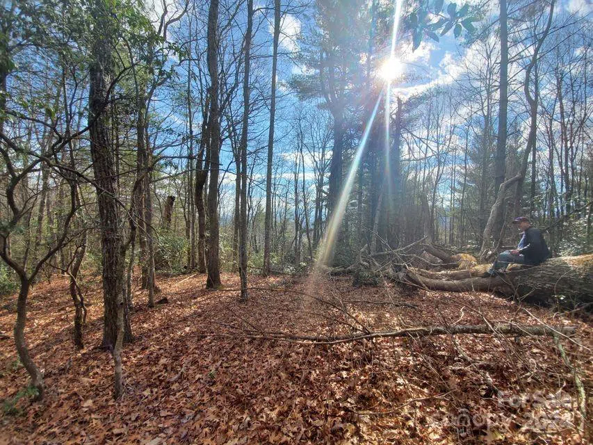 00 Elkins Road #20 Bakersville, NC 28705