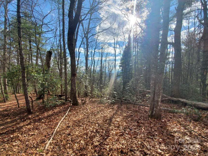 00 Elkins Road #20 Bakersville, NC 28705