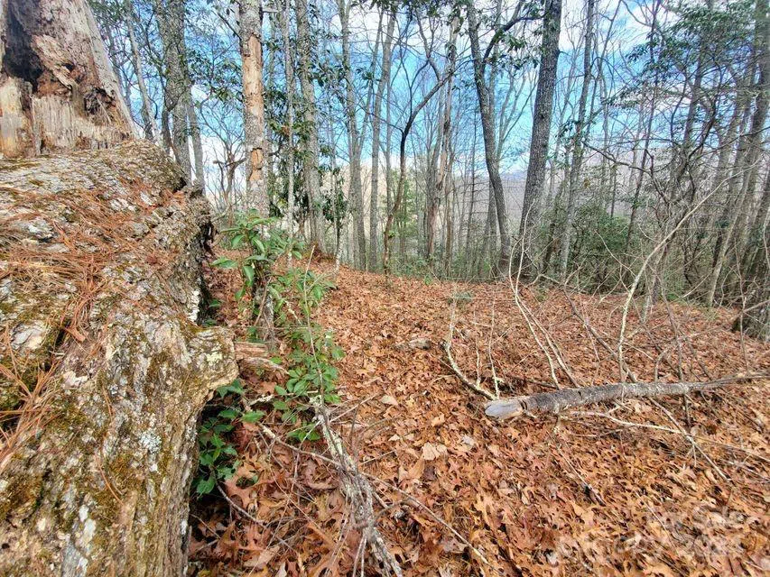 00 Elkins Road #20 Bakersville, NC 28705