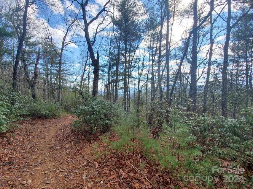00 Elkins Road #20 Bakersville, NC 28705