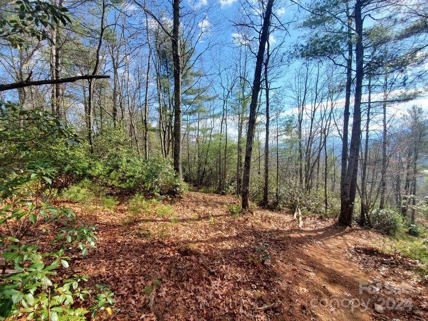 00 Elkins Road #20 Bakersville, NC 28705