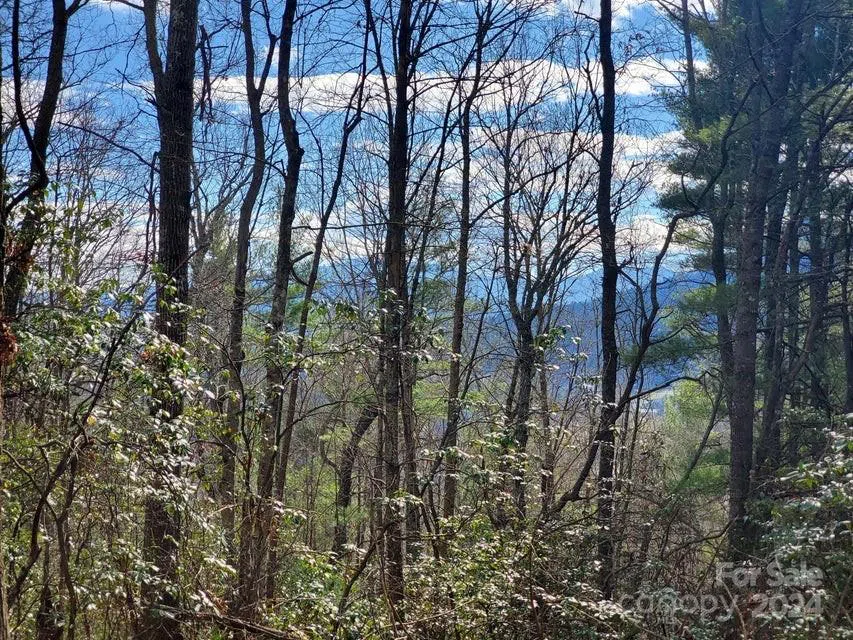 00 Elkins Road #20 Bakersville, NC 28705