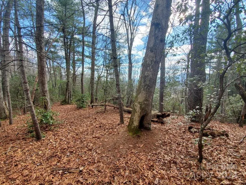 TBD Elkins Road #22 Bakersville, NC 28705