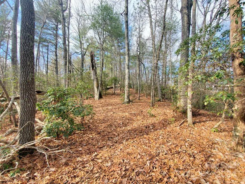 TBD Elkins Road #22 Bakersville, NC 28705