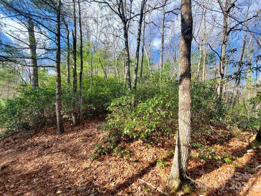 TBD Elkins Road #22 Bakersville, NC 28705