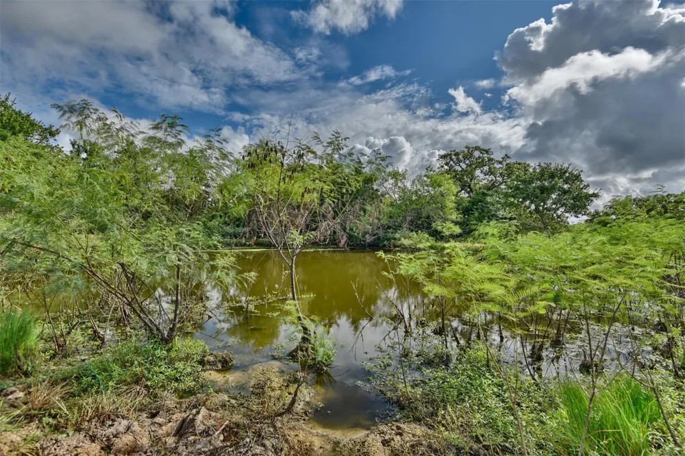 W Magnolia Drive Lyons, TX 77836