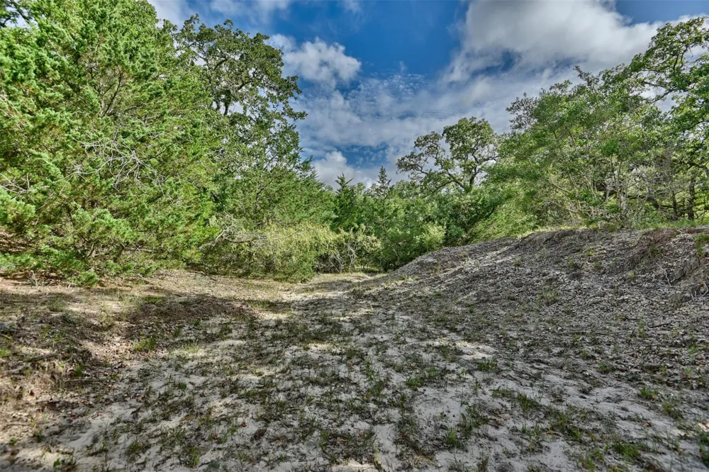 W Magnolia Drive Lyons, TX 77836