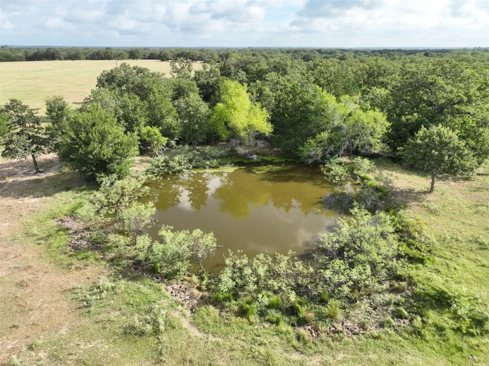 W Magnolia Drive Lyons, TX 77836