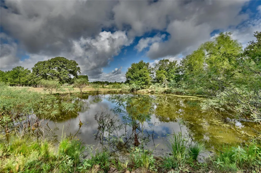 W Magnolia Drive Lyons, TX 77836