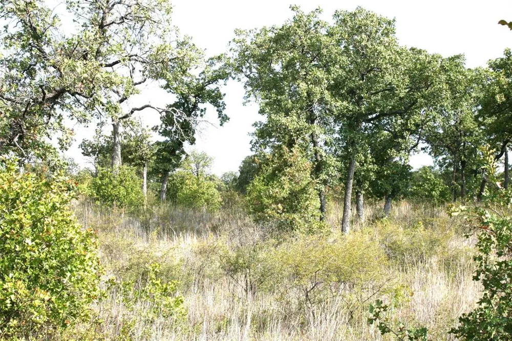 Hensley Road Gordon, TX 76453