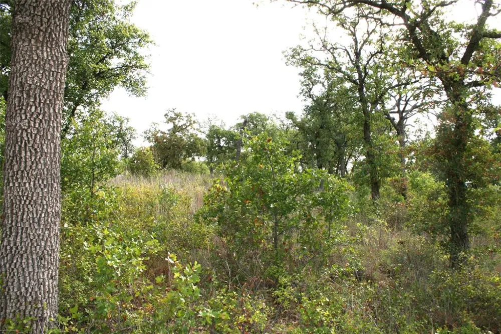 Hensley Road Gordon, TX 76453