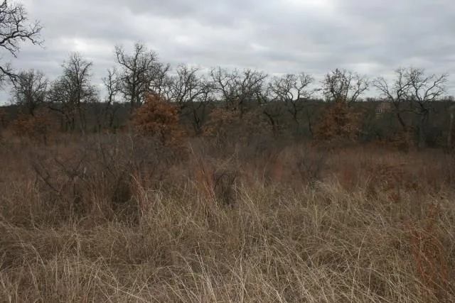 Hensley Road Gordon, TX 76453