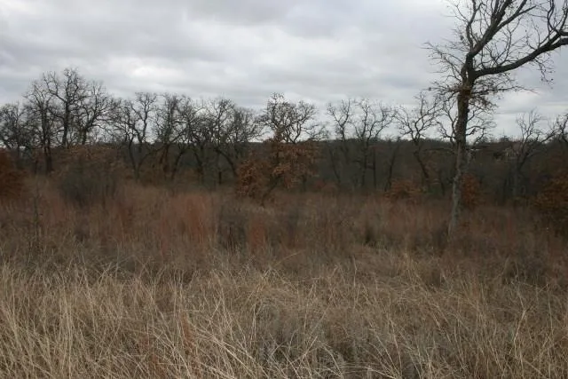 Hensley Road Gordon, TX 76453