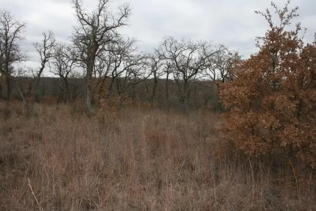 Hensley Road Gordon, TX 76453